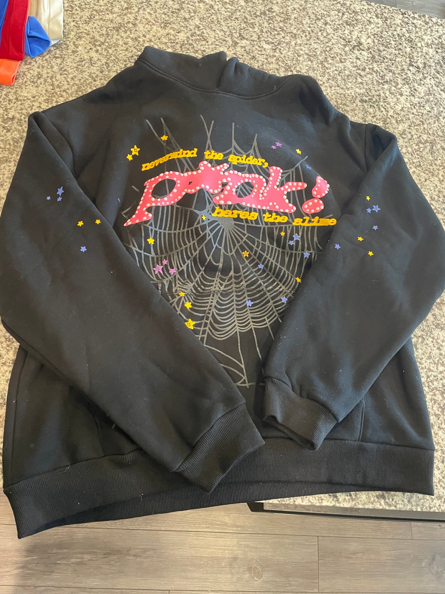 Spider Graphic hoodie